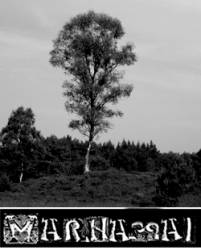 Marnamai : De treurwilg